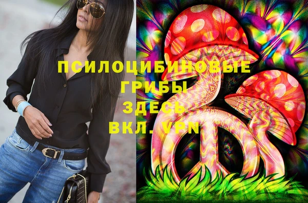 бошки Алзамай