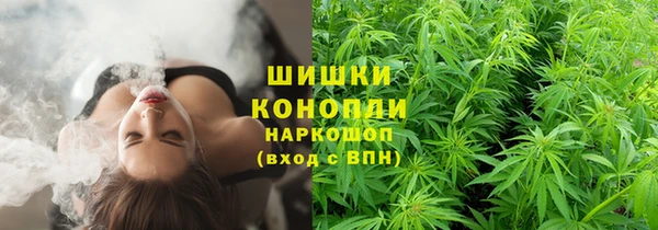 PSILOCYBIN Алексеевка