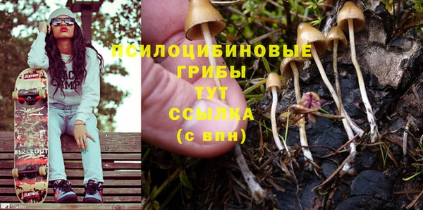 PSILOCYBIN Алексеевка